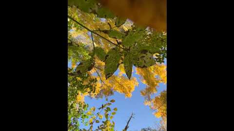 ammyhot @ stripchat on 20230921