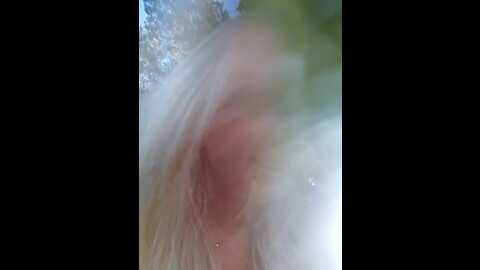 cherryauroraa @ stripchat on 20230921