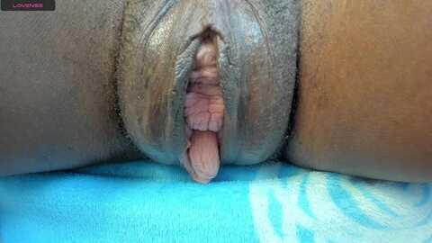 monicaschwartz @ stripchat on 20230921