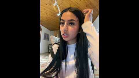 salome_ml11