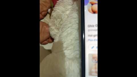 rimasarabigirl @ stripchat on 20230922