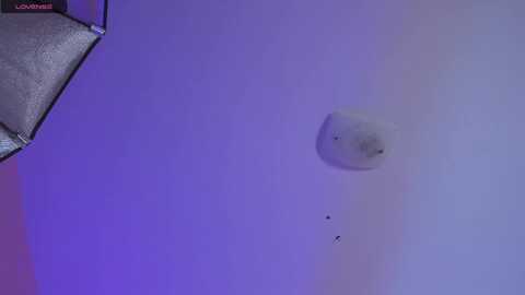 honeydesire @ stripchat on 20230924