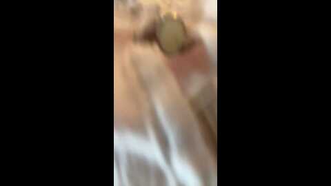 janiceboobs @ stripchat on 20230924