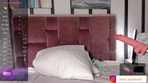 aliceewonderr @ stripchat on 20230925