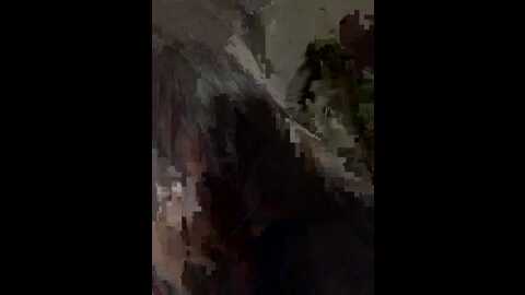 daniela_beltran @ stripchat on 20230925