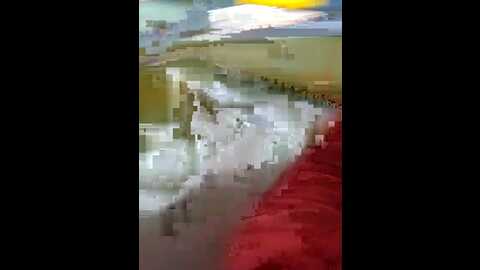 babby_angel_ @ stripchat on 20230926