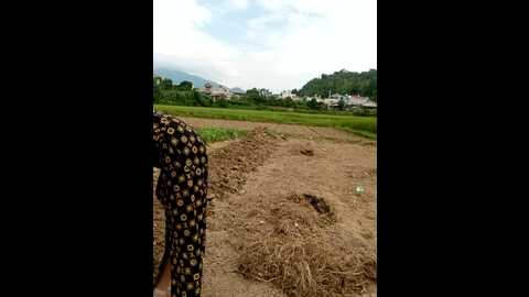 couple_fuck_toy @ stripchat on 20230926