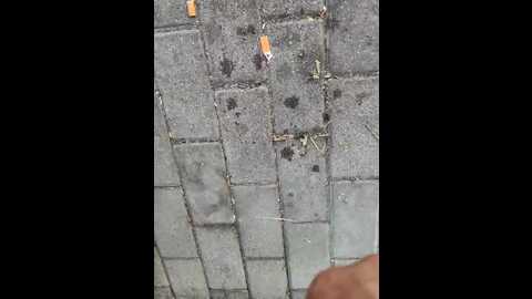 darleenhot @ stripchat on 20230926