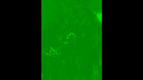 dorideluxe66 @ stripchat on 20230926
