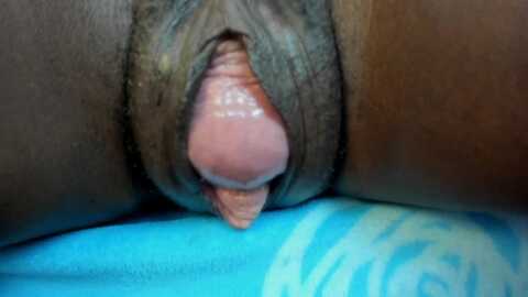 monicaschwartz @ stripchat on 20230926