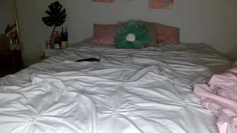 jevinlove_ @ stripchat on 20230928