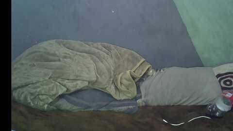 hot_sibilingxxx @ stripchat on 20230929