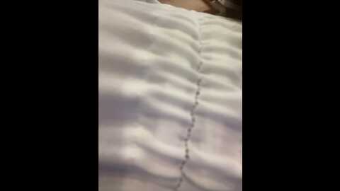 janiceboobs @ stripchat on 20230929