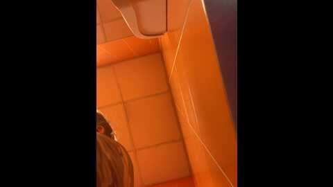 janiceboobs @ stripchat on 20230929