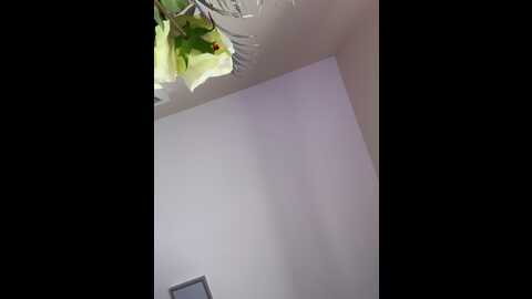 missyj @ stripchat on 20230929