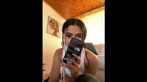 salome_ml11