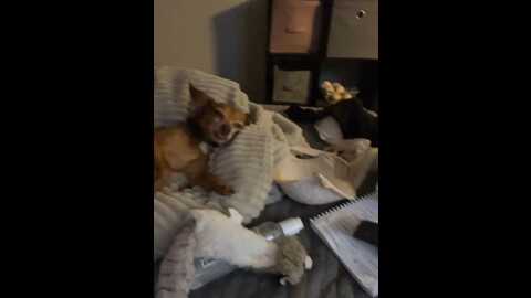 meg6873 @ stripchat on 20230930