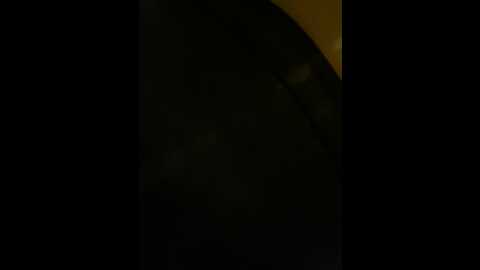 wet__bunny @ stripchat on 20231005