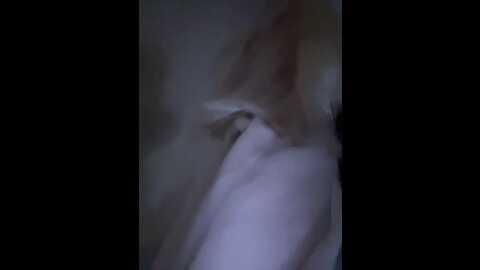 charming_ritta @ stripchat on 20231007