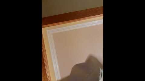 littlemisseeve @ stripchat on 20231007