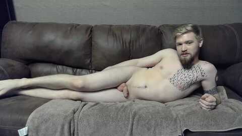 baldr_skadi @ stripchat on 20231009