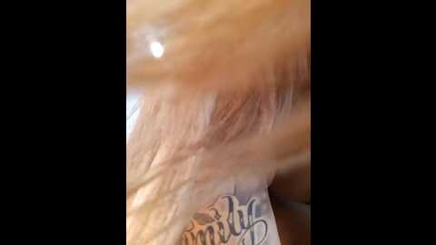 dianita_1988 @ stripchat on 20231010