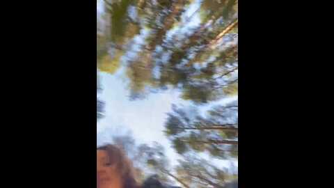 stasywood @ stripchat on 20231010