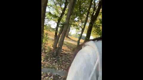 clairewntr @ stripchat on 20231011