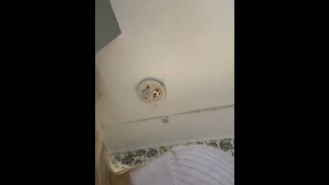 emmymood @ stripchat on 20231011