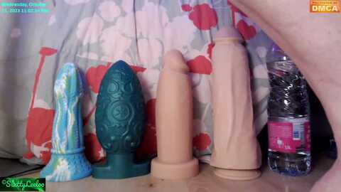 misschiennelilou @ stripchat on 20231011