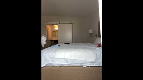 shaarebaare @ stripchat on 20231011