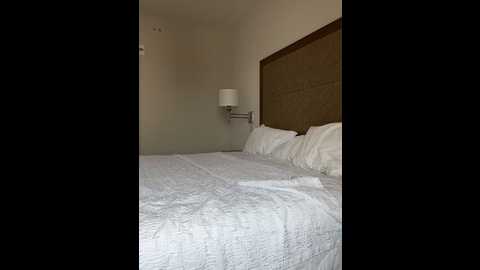 shaarebaare @ stripchat on 20231011