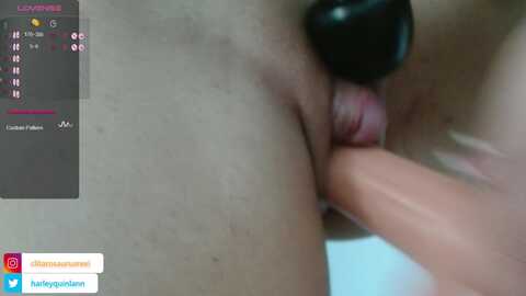 clitarosaurusrexi @ stripchat on 20231012