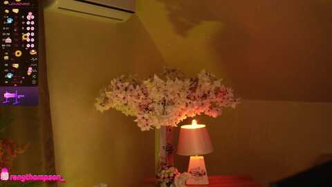 zoemils @ stripchat on 20231013