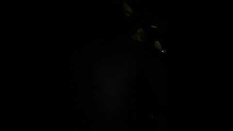 _angelari_ @ stripchat on 20231015