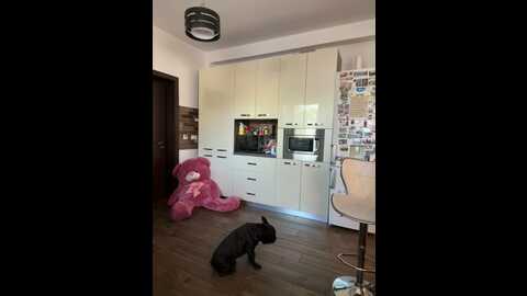 annekane @ stripchat on 20231015