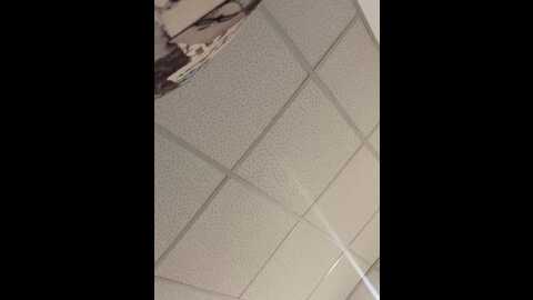 sweetladyn @ stripchat on 20231016