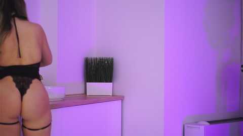 evasunderland @ stripchat on 20231017