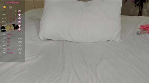 babyellen @ stripchat on 20231018