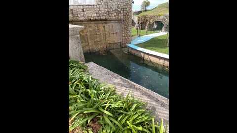 streetdoll @ stripchat on 20231018