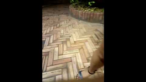 sweetsin2 @ stripchat on 20231018