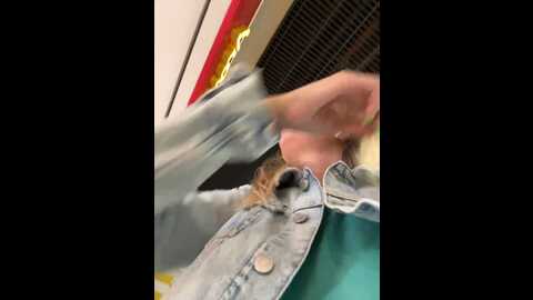 betsy @ stripchat on 20231019