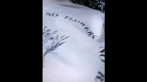 cata647 @ stripchat on 20231019