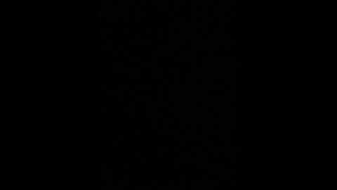 celinesthlm @ stripchat on 20231019