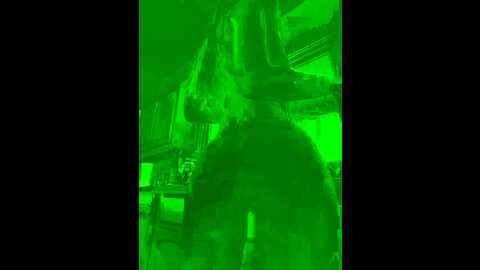 karissachantelle @ stripchat on 20231019