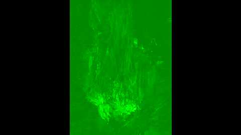 karissachantelle @ stripchat on 20231019