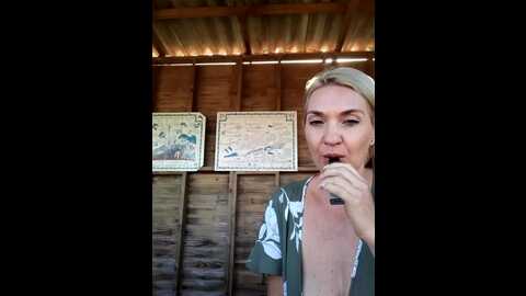 misslmrj @ stripchat on 20231019