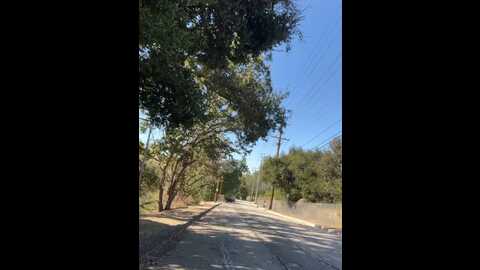 bigbuttbrooklynn @ stripchat on 20231020