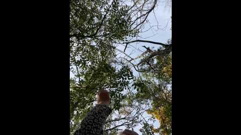 sweetladyn @ stripchat on 20231021