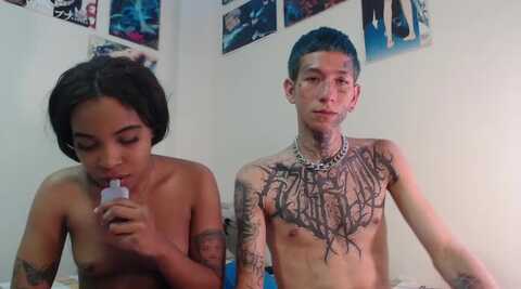 xvenomxx_sweett @ stripchat on 20231021